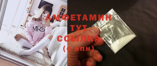 гидра Белокуриха