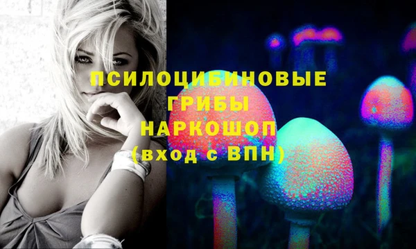 ECSTASY Бугульма