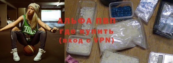 гидра Белокуриха