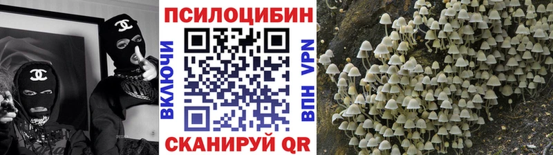 Галлюциногенные грибы Psilocybine cubensis  Клинцы 